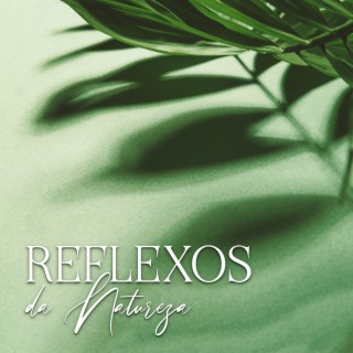 Reflexos da Natureza: Arte do Relaxamento, Música Zen para Equilíbrio Interior e Alívio do Estresse