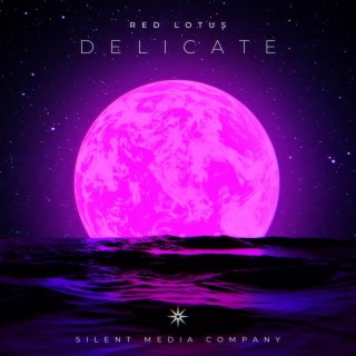 Delicate lyrics | Boomplay Music