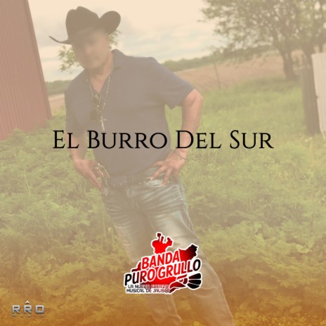 El Burro Del Sur | Boomplay Music