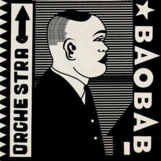 The Mighty Orchestra Baobab