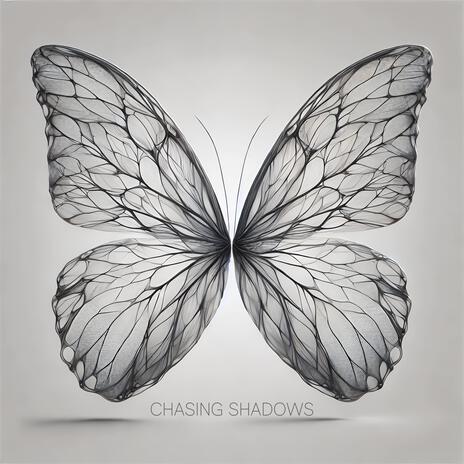 Chasing Shadows