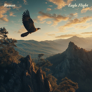 Eagle Flight