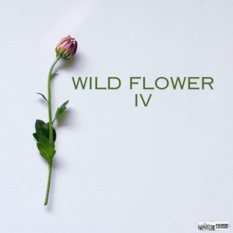 Wild Flower 4