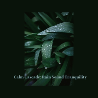 Calm Cascade: Rain Sound Tranquility