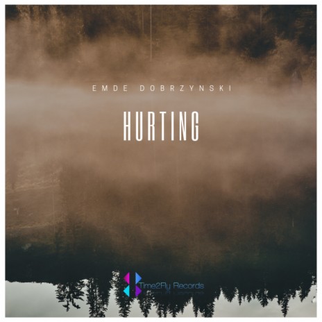 Hurting | Boomplay Music