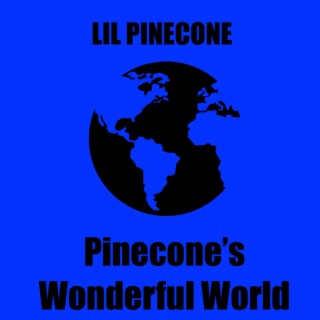 Pinecone's Wonderful World