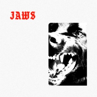 JAWS lyrics | Boomplay Music