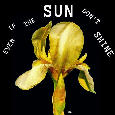 Even if the Sun don't Shine | Boomplay Music