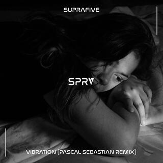 Vibration (Pascal Sebastian Remix) (Afro House)