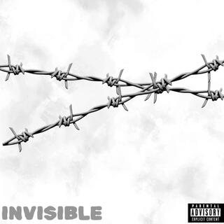 Invisible