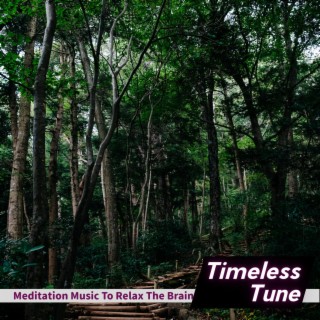 Meditation Music to Relax the Brain