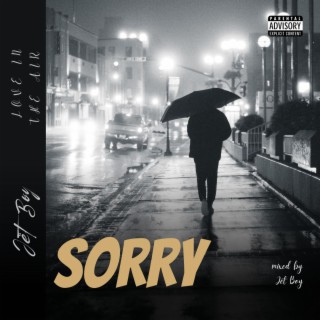 SORRY lyrics | Boomplay Music