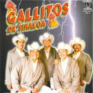 Gallitos De Sinaloa