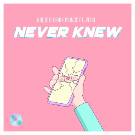 Never Knew ft. Erikk Prince & Vedo | Boomplay Music