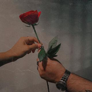 Rose ft. Danna lyrics | Boomplay Music