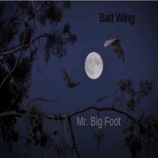 Batt Wing