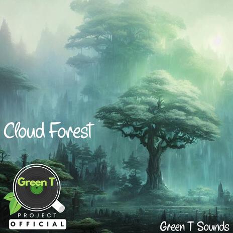 Cloud Forest | Boomplay Music