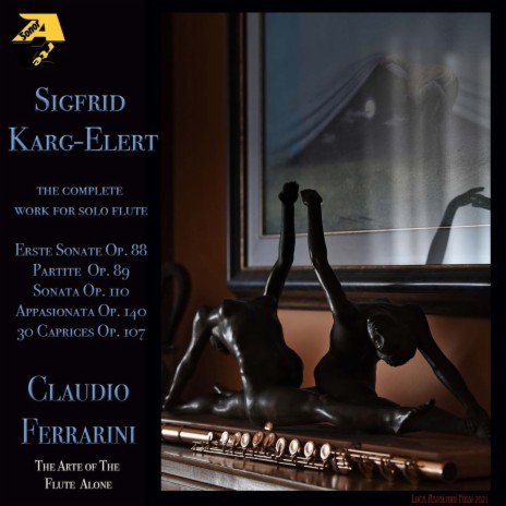 Erste Sonate für Violino solo E minor, Op. 88: II. Larghetto molto espressivo (Arr. for flute by Claudio Ferrarini) | Boomplay Music