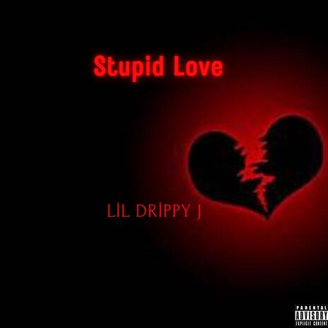 Stupid Love | Boomplay Music