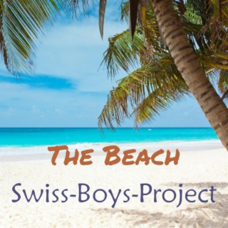 Swiss-Boys-Project