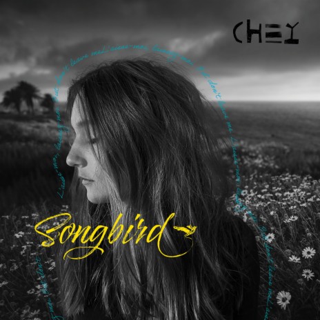 Songbird | Boomplay Music