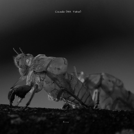 Cicada (Alt. Take) | Boomplay Music