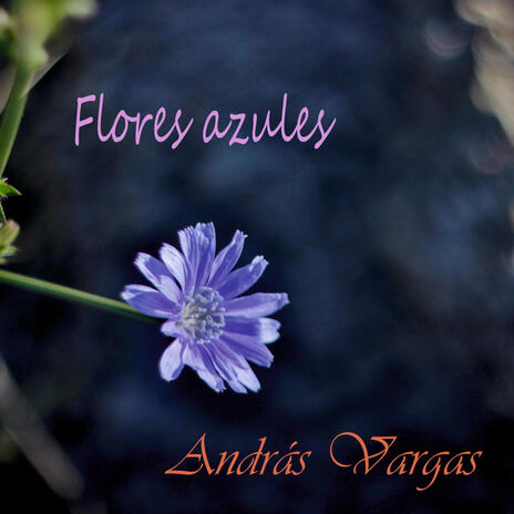 Flores azules | Boomplay Music