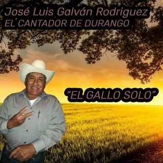 El gallo solo