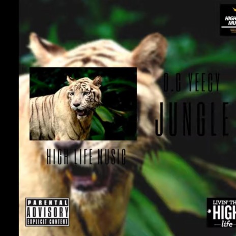 Jungle