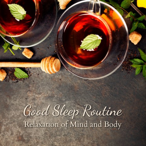 88 Minute Bed Routine | Boomplay Music