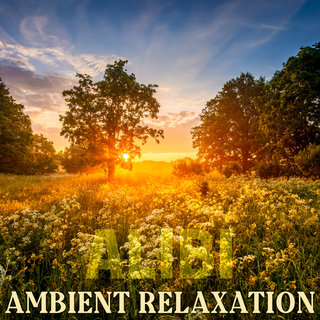 Ambient Relaxation