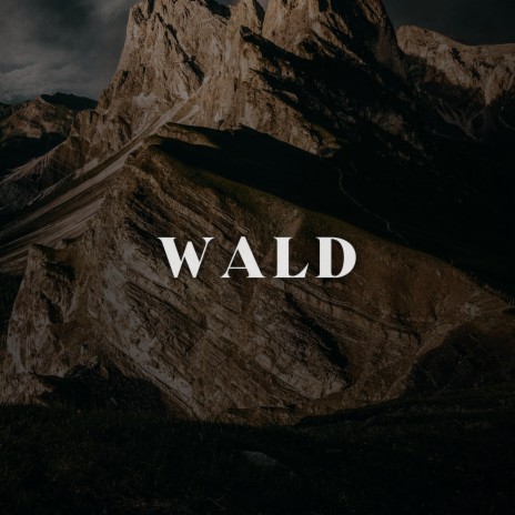 Wald | Boomplay Music