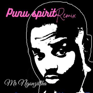 Punu Spirit