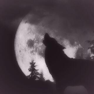 Howling at the moon