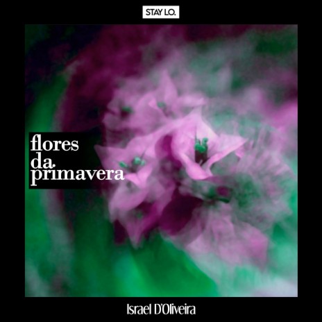 Flores da Primavera ft. Israel D'Oliveira | Boomplay Music