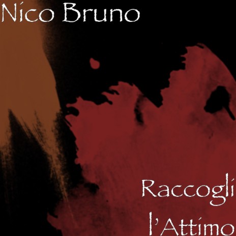 Raccogli l’Attimo | Boomplay Music