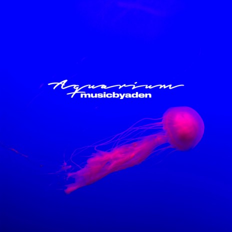 Aquarium | Boomplay Music