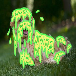 Slime Puppies