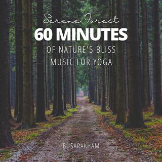 Serene Forest - 60 Minutes of Nature’s Bliss Music for Yoga