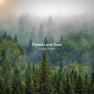 Forests and Suns