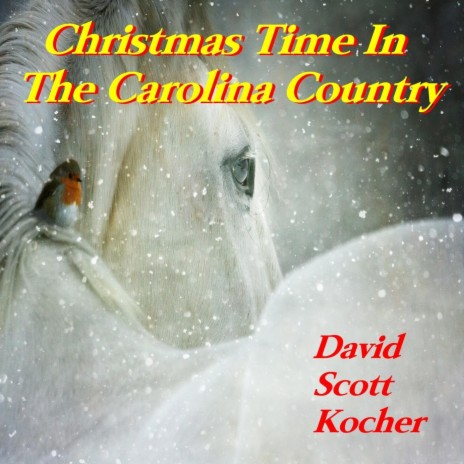 Christmas Time in the Carolina Country