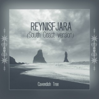 Reynisfjara (South Coast Version)