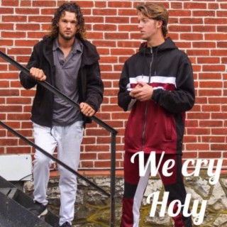 We Cry Holy lyrics | Boomplay Music