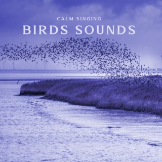 Calm Singing Birds Sounds: Visualization of Calmness, Birds Singing in Deep Meditation Forest