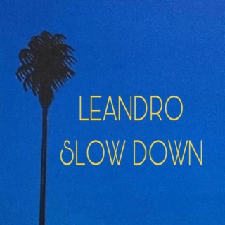 SlowDown