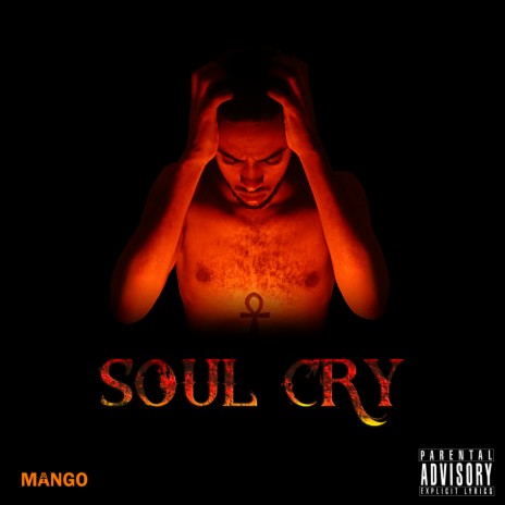 Soul Cry | Boomplay Music