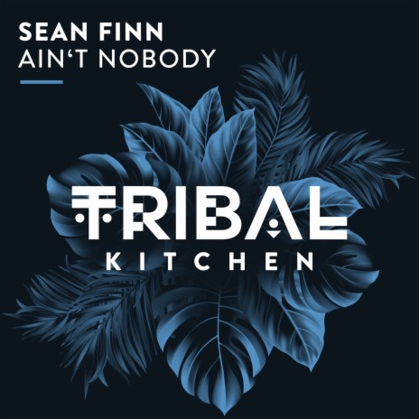 Ain't Nobody | Boomplay Music