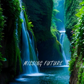 Missing Future