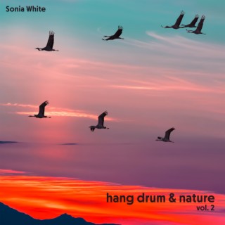 Hang Drum & Nature Vol. 2: Morning in the Woods (Nature Ringtones 2022)