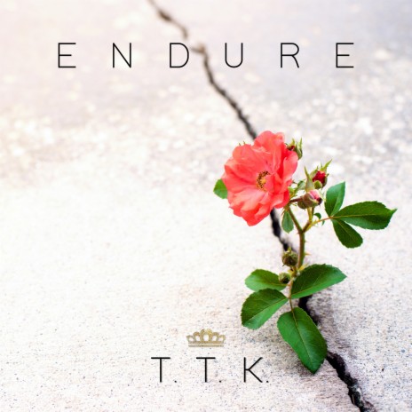 Endure | Boomplay Music